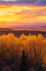 Stunning sunset over golden autumn forest with vibrant colors and expansive horizon