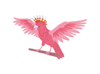 Vector illustration with the image of a red cockatoo parrot with outstretched wings.