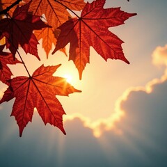 Softly glowing maple leaves against a muted autumn sky, serene, sunset