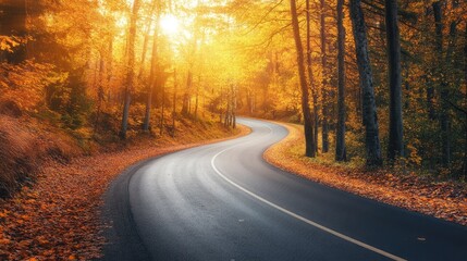Obraz premium Winding asphalt road through a picturesque autumn forest with vibrant foliage illuminated by warm sunlight during a serene fall day