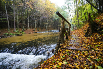 Nature reserve Nad Tanwia - Roztocze.