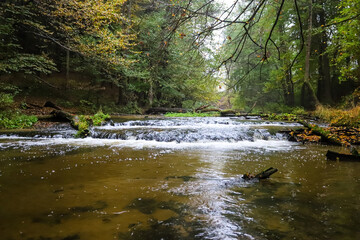 Naklejka premium Nature reserve Nad Tanwia - Roztocze.