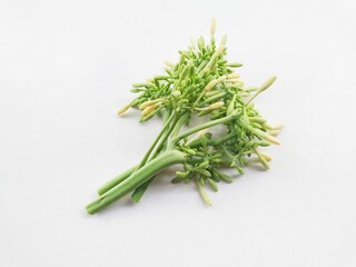 Vegetable papaya flower isolated on white background.