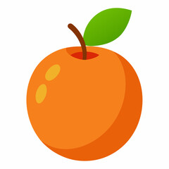 orange fruit vector illustration