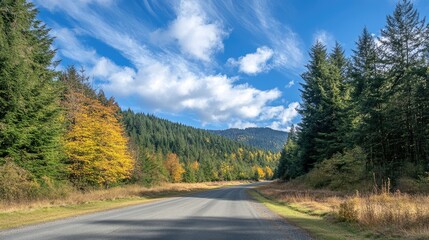 Fototapeta premium Scenic asphalt road surrounded by vibrant trees with clear blue skies and clouds in a tranquil forest landscape
