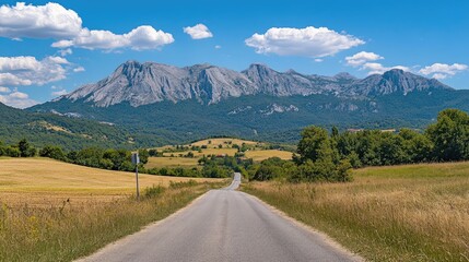 Fototapeta premium Asphalt road winding through fields leading to majestic mountains under a clear blue sky on a sunny summer day