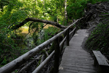 Fototapeta premium Nature reserve Nad Tanwia - Roztocze.