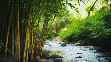 Obraz premium Bamboo roots beside a flowing stream enhancing soil stability and preventing landslides in a lush green environment.