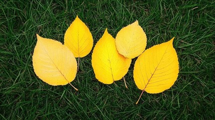 Vibrant yellow autumn leaves scattered on lush green grass creating a picturesque park scene