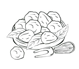 Food illustration of mozzarella cheese on a plate and fork for tasting. Hand drawn composition in sketch style isolated on white background. Element for bar and restaurant menu