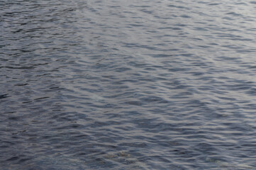 Rippling surface reflects soft light at sunset over tranquil waters