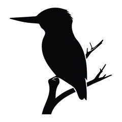 Kingfisher Silhouette vector illustration, bird on a branch vector art