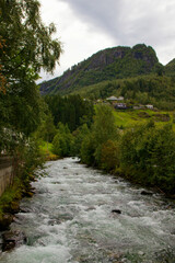 Vigorous water flows over rocks, embraced by lush greenery, creating a serene atmosphere.