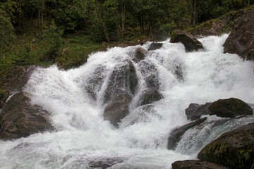Vigorous water flows over rocks, embraced by lush greenery, creating a serene atmosphere.