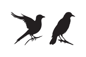 Silhouette of Birds Perched on Branches
