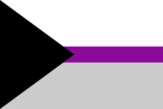DEMISEXUAL Flag. Pride Flag. LGBTQ+. Pride Parade. Multicolored LGBTQIA flag.