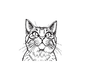 A black and white coloring page depicting a Cat pattern with bold lines and a clean line art style against a white background, Vector illustration.