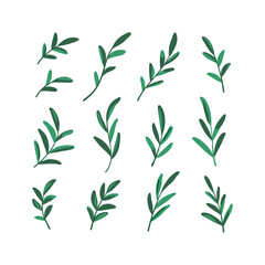 Hand drawn illustration of green leaves. Boho element for your design. Abstract poster with minimalist leaves.