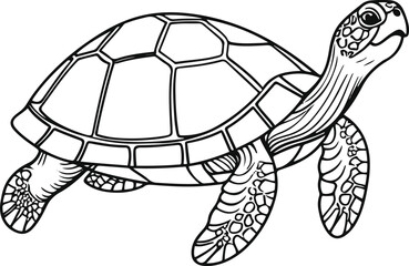 A simple coloring page line art illustration of an abstract turtle using simple shapes and lines on a white background for adults to color within the outlines.eps