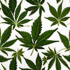 marijuana leaf background