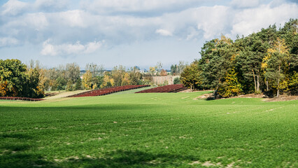 A scenic countryside view showcasing colorful agricultural fields, including vibrant crops and orderly rows, surrounded by forest and bathed in sunlight.