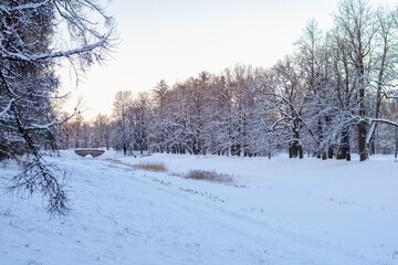 Fototapeta premium Winter Alexander park in snow, Pushkin (Tsarskoe Selo), St. Petersburg, Russia