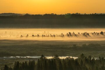 Isarauen nahe Wolfratshausen Schlederloh eingebettet im Herbstnebel