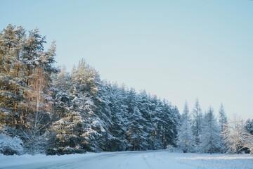 A winter road through a snow-covered forest with a passing car, road signs, surface of snow and ice