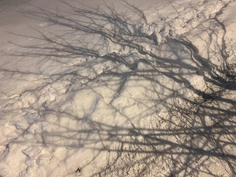 Winter Shadows