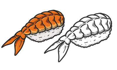 Asian food. Sushi with shrimp. Sketch style. Vector hand drawn illustration. Painted sketch