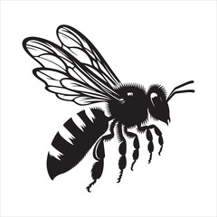 One bee silhouette vector. Honey bee vector icon. Bee silhouette illustration on a white background.