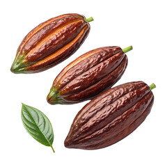 dried dates isolated on white