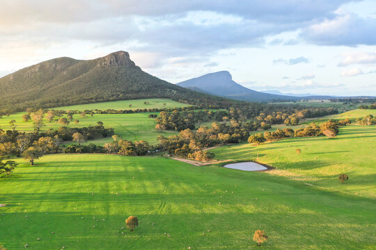 Green paddocks. Mount Sturgeon. The Grampians. Victoria. Australia.