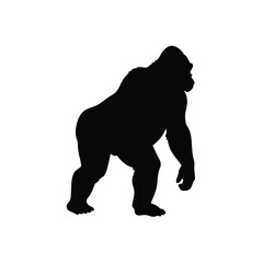 Obraz premium A gorilla vector silhouettes