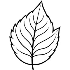 The Final Leaf Nature's Vector Design