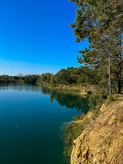 Obraz premium lake in the forest