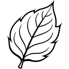 The Final Leaf Nature's Vector Design