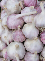 garlic, new harvest, close-up
