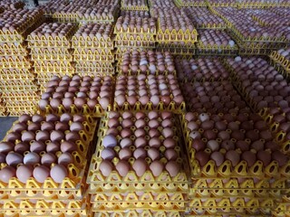 Stack of Fresh Chicken Eggs Ready for Sale