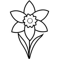 daffodil  line art vector