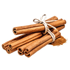Cinnamon sticks isolated vector illustration (6)