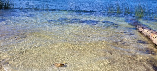 Naturaleza: vida y transparencia 