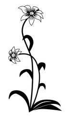 Stylized rudbeckia in ornamental style. Flowers of coneflower or black-eyed-susans. Decorative corner. Black vector floral design element.