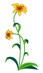 Stylized rudbeckia in ornamental style. Flowers of coneflower or black-eyed-susans. Decorative corner. Colorful vector floral design element.