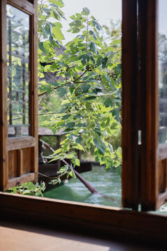 Open Wooden Window Overlooking Lush Greenery