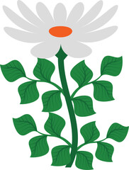 beautiful flower illustration