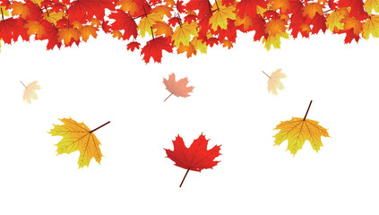 Autumn background with maple leaves. Vector background, Maple Canada leaves. Bokeh background maple leaves.