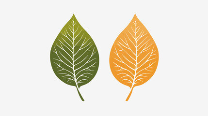Professional two tone leaf vein logo with transparent background for versatile usage