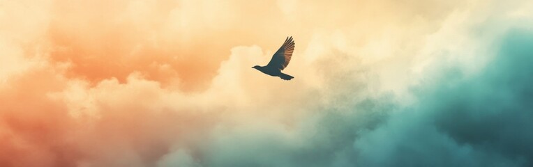 Silhouette of a bird soaring through colorful clouds at sunset