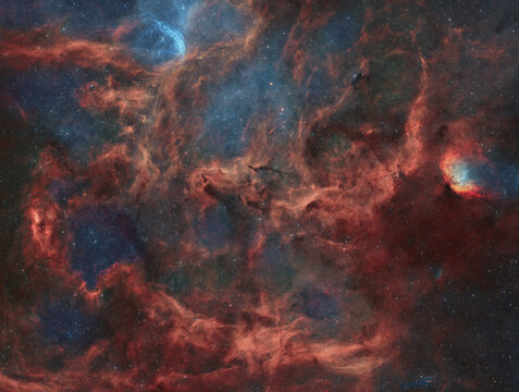 WR134 + Tulip Nebula